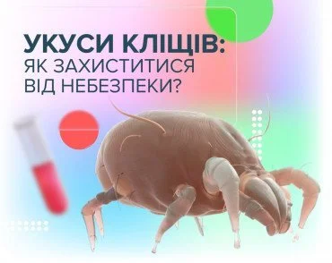 Укусы клещей: как уберечься от опасности?