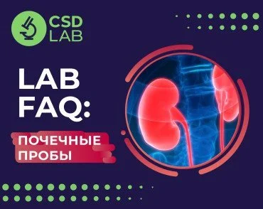 LAB FAQ: Почечные пробы