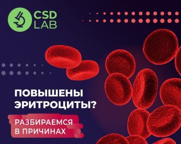 Общий анализ крови повышенные эритроциты CSD LAB