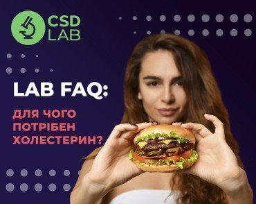 LAB FAQ: Навіщо потрібен холестерин?
