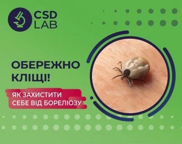 Як захиститись від бореліозу?