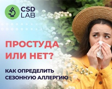 Можно ли простудиться летом?