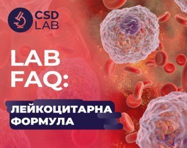 LAB FAQ: лейкоцитарна формула