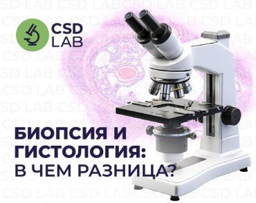 микроскоп биопсия гистология анализы