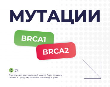BRCA1 BRCA2 BRCA1/2 мутации