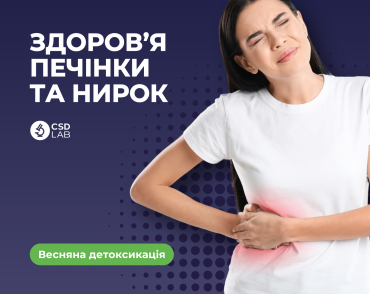 здоровье печени и почек