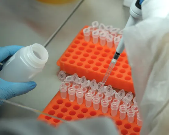 Як протипухлинна терапія впливає на мікробіом? 