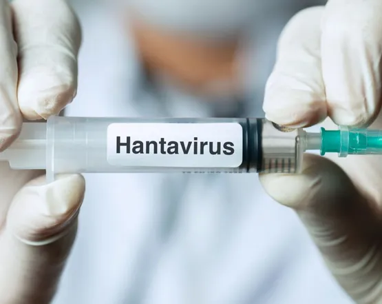 Hantavirus