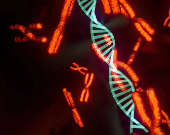 chromosome