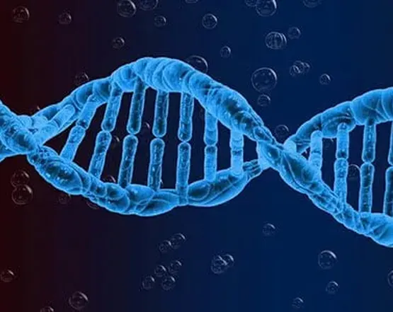 dna-sequencing