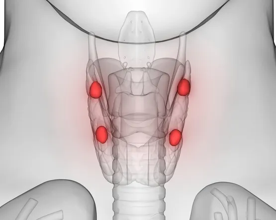 parathyroid awareness