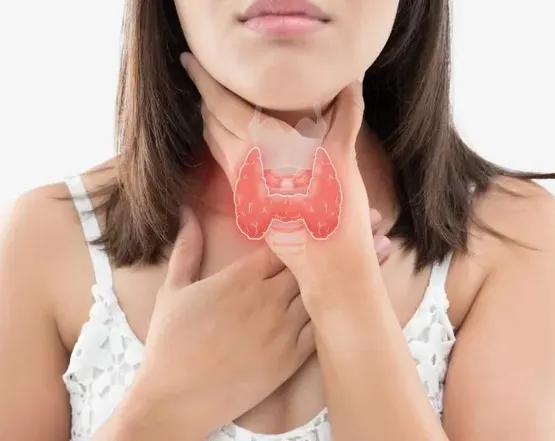 thyroid-gland