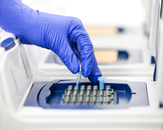 pcr