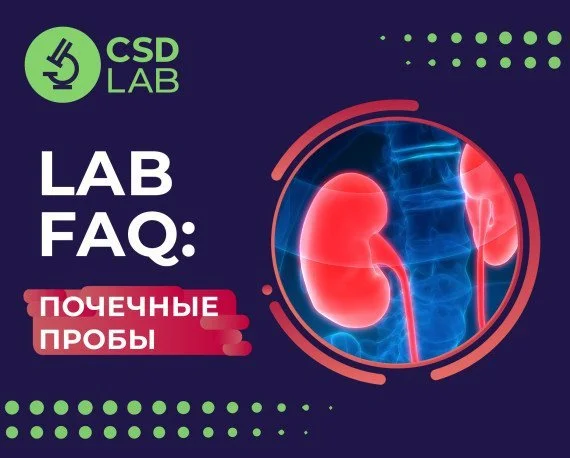 LAB FAQ: Почечные пробы