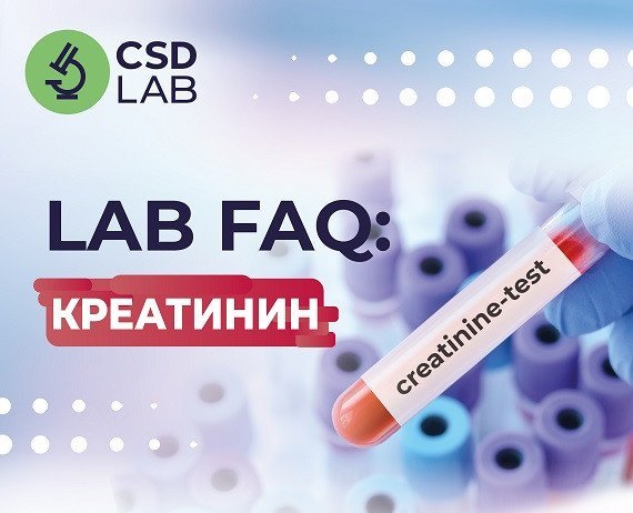 Что следует знать о креатинине? | Медицинская лаборатория CSD