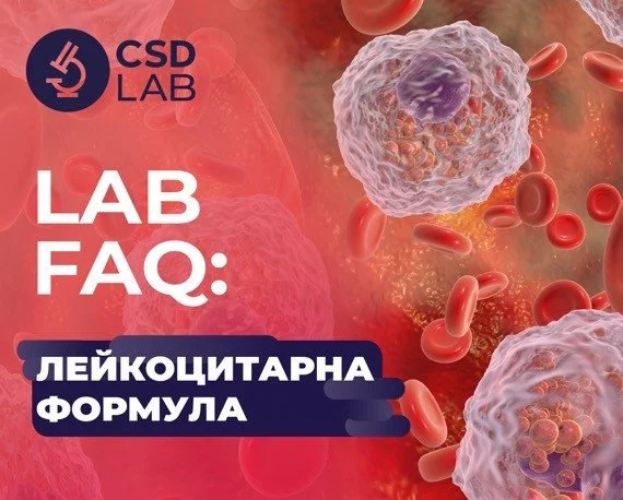 LAB FAQ: лейкоцитарна формула LAB FAQ: лейкоцитарна формула