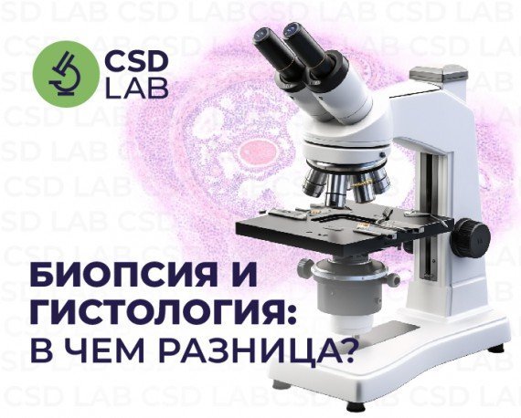 микроскоп биопсия гистология анализы
