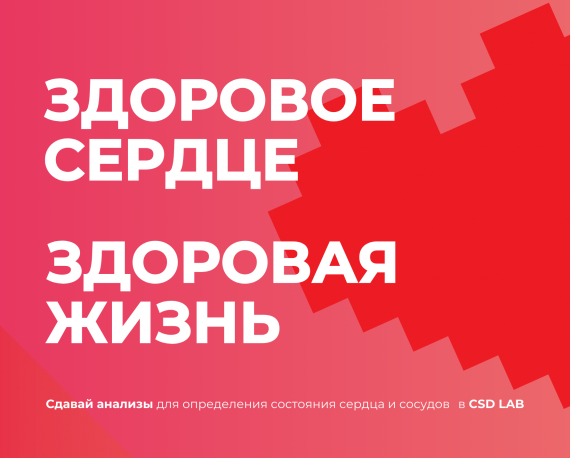 здоровая жизнь здоровое сердце