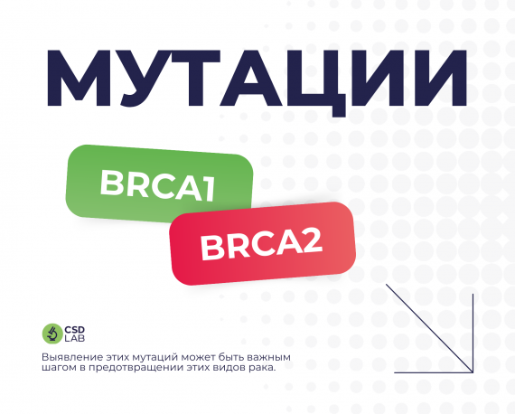 Наследственные мутации BRCA1 BRCA2 BRCA1/2 мутации