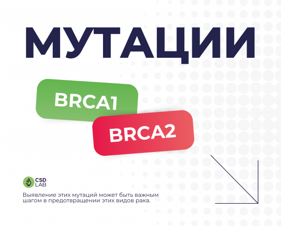 BRCA1 BRCA2 BRCA1/2 мутации