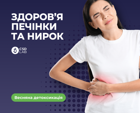 весняна діагностика здоров'я печінки та нирок