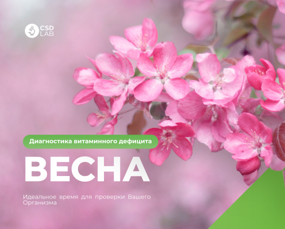 весна и дефицит розовые цветы
