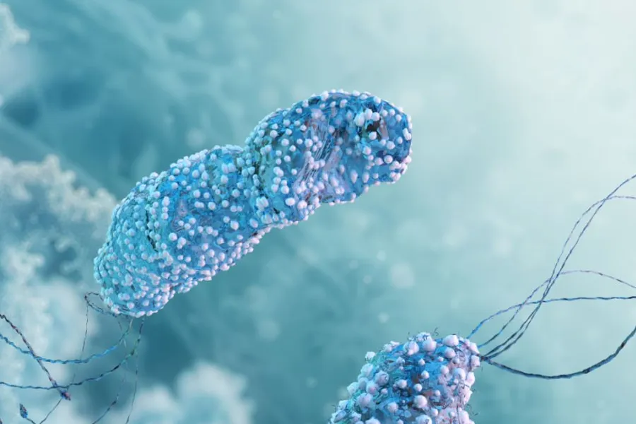 Helicobacter pylori: як бактерія викликає гастрит