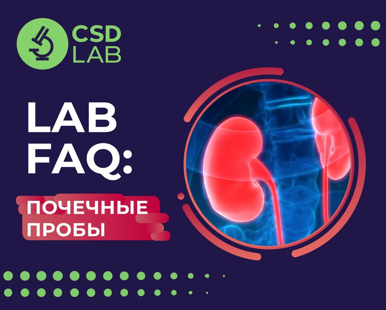 LAB FAQ Почечные пробы Медицинская лаборатория CSD