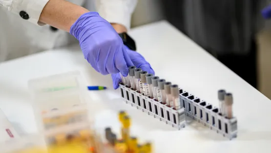 Сучасна діагностика діабету: від перших аналізів до розширених програм у CSD LAB