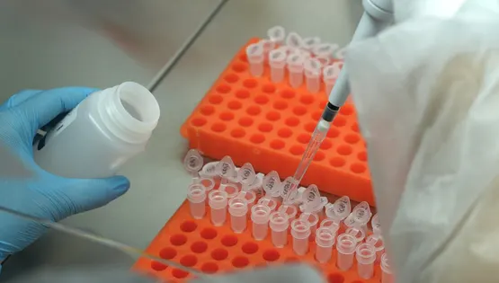 Визначення мікробіома кишківника методом NGS \ N