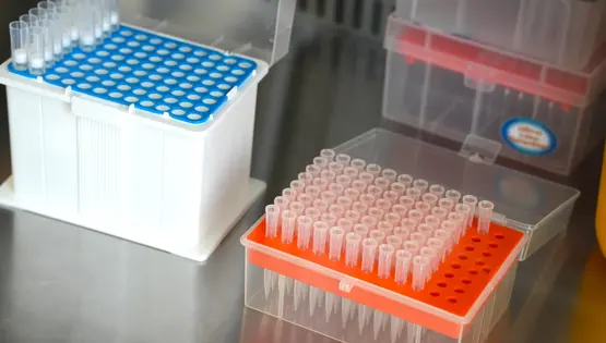 Комплекс №282 "Майбутній тато"