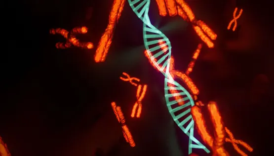 chromosome