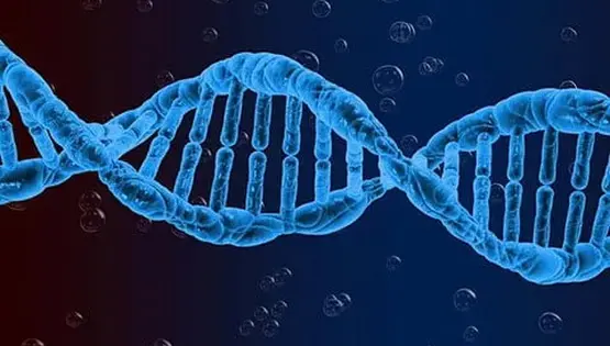 dna-sequencing