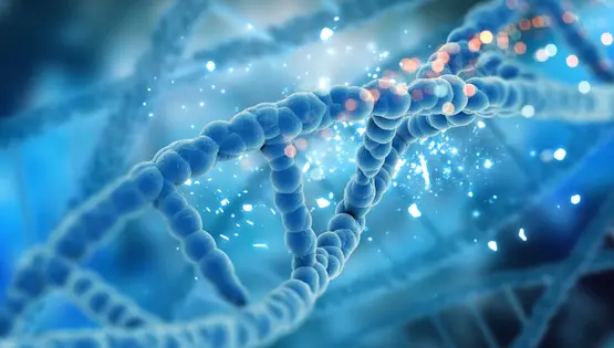 oncotype