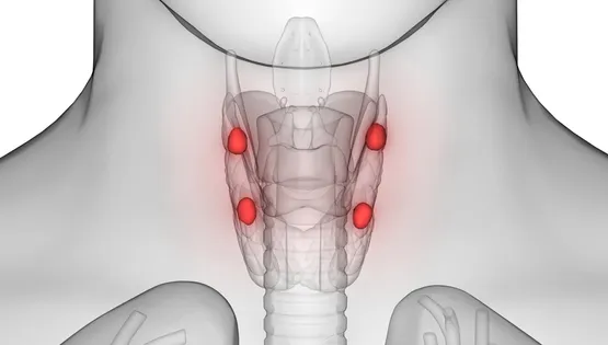 parathyroid awareness