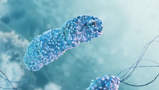 Helicobacter pylori: як бактерія викликає гастрит